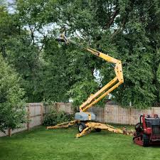 Lawn Irrigation Installation and Maintenance in Oneida, TN