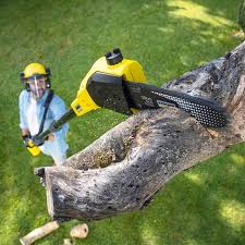 Best Commercial Tree Services  in Oneida, TN
